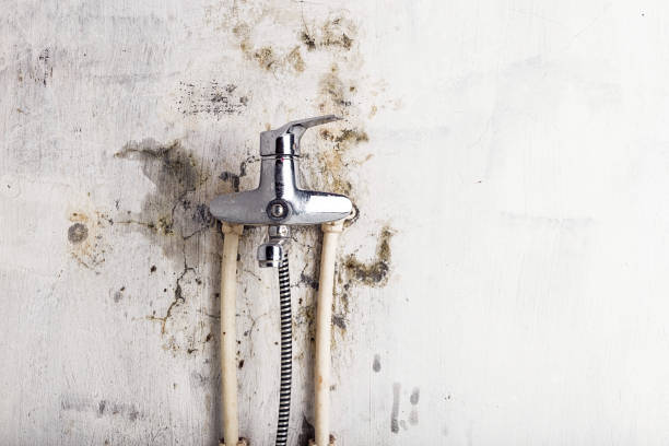Best Mold Testing  in Bartlett, TN